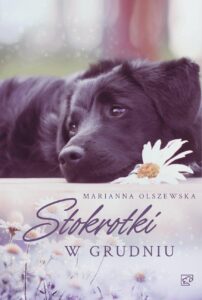 Marianna Olszewska - Stokrotki w Grudniu